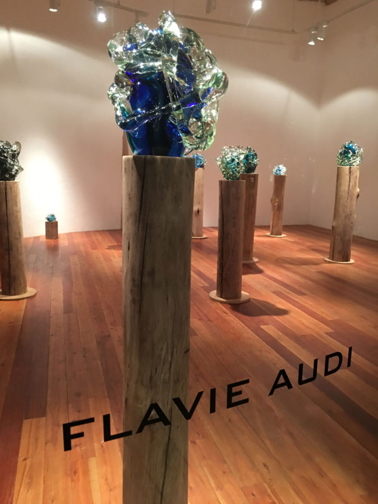 Flavie Audi Fluid Energy – Residency Soneva Fushi